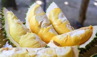 榴莲剥开没熟怎么办（榴莲剥开没熟怎么办夏天）