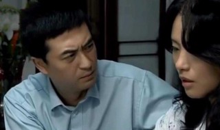 蜗居分集你剧情简介 蜗居电视剧分集介绍