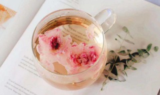 菊花和玫瑰花可以一起泡水喝吗（金银花菊花和玫瑰花可以一起泡水喝吗）