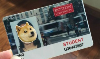 学生卡丢了怎么补办 广州羊城通学生卡丢了怎么补办