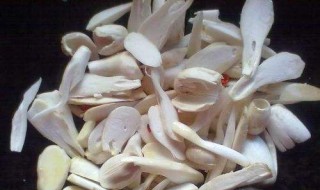 鸡腿菇怎么做才好吃最简单 鸡腿菇怎么做好吃又简单