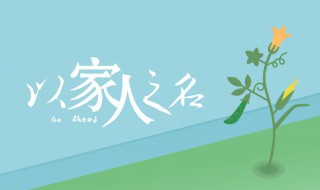 陈婷的大结局 陈婷的大结局是什么