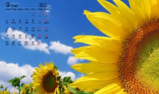 9月黄道吉日有哪几天 9月黄道吉日有哪几天2020