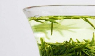 绿茶是什么（绿茶是什么菜系的）