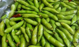 毛豆怎么做最好吃最简单 毛豆怎么做简单又好吃