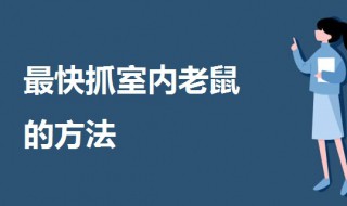 最快抓室内老鼠的方法 最快抓室内老鼠的方法视频