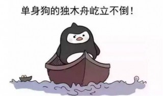 适合七夕单身狗发的说说搞笑（单身狗七夕节发的说说搞笑）