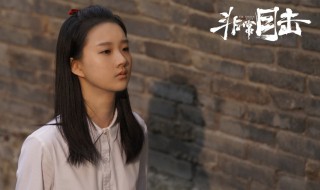 非常目击小白鸽是怎么死的 非常目击为什么杀白鸽