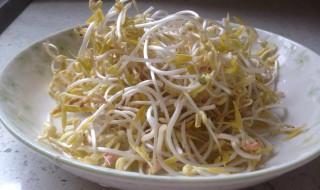 怎么发豆芽简单做法（怎么发豆芽简单做法视频红豆）