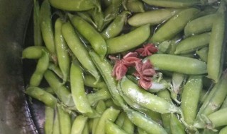 豆荚怎么放冰箱保存（豆荚怎么放冰箱保存不会坏）