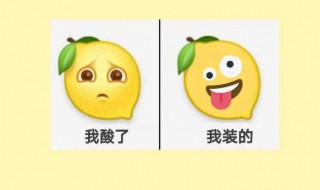 柠檬精之歌是哪个节目（柠檬精之歌的歌词）