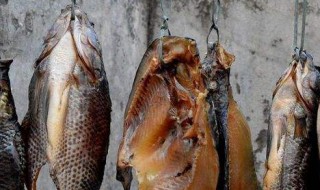 腊鱼的腌制方法（腊鱼的腌制方法视频）