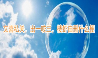 文喜私关什么梗