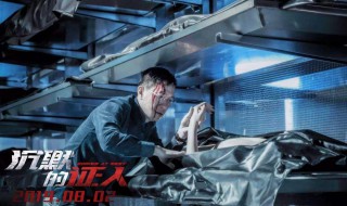 沉默的证人剧情介绍（沉默的证人结局）