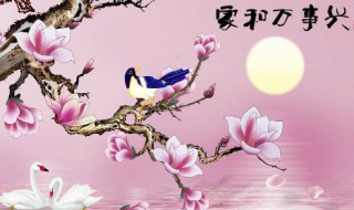 家和万事兴剧情介绍 家和万事兴剧情简介