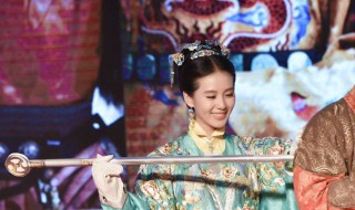 女医明妃传演员表介绍（女医明妃传 演员表）