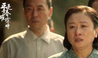 正是青春璀璨时电视剧剧情介绍 正是青春璀璨时电视剧剧情简介