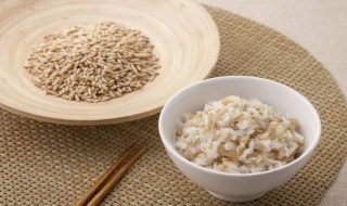 减脂主食是什么 减肥主食是什么