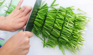 韭菜加醋熬水有什么功效（韭菜加醋熬水有什么功效呢）
