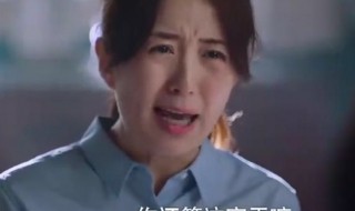 凌霄的母亲谁演的（凌霄母亲扮演者）
