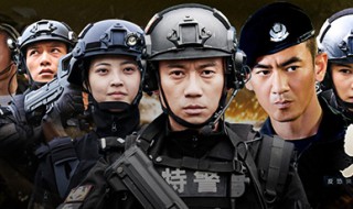 特警力量演员表 特警力量演员表介绍小飞燕