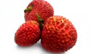 荔枝冷库的储藏方法 荔枝冷库的储藏方法有哪些