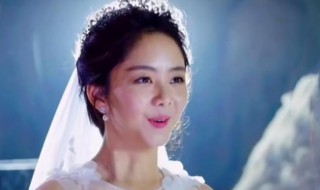 凌霄和贺子秋结婚了吗（凌霄和贺子秋结婚了吗小说）