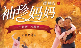 樱桃红之袖珍妈妈演员表 演樱桃红之袖珍妈妈的演员图片