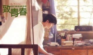 致我们终将逝去的青春演员表（致我们终将逝去的青春演员表电视剧）