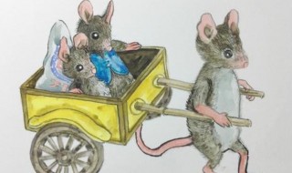 老鼠进家的风水说法 尖嘴老鼠进家的风水说法