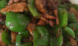 辣椒炒肉片（辣椒炒肉片怎么炒好吃又嫩视频）