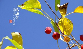 9月22日是什么日子 1999年9月22日是什么日子