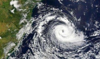 台风来了有什么警告（台风来了有什么警告语）