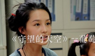 守望的天空演员表（守望的天空演员表介绍）