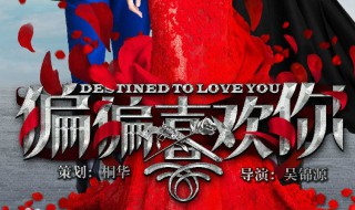 偏偏喜欢你演员表 偏偏喜欢你演员表介绍2012