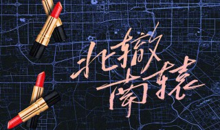 北辙南辕电视剧谁是主演 北辙南辕电视剧全部演员