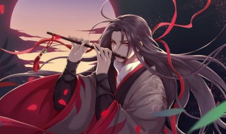 蓝忘机魏无羡的剧情（魏无羡蓝忘机的结局是什么）