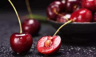 车厘子和樱桃是什么关系蚂蚁庄园 车厘子和樱桃是一样吗蚂蚁庄园