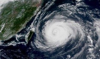 巴威是谁起的名字（巴威是谁起的名字啊）