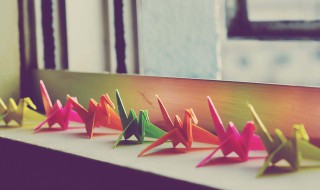 纸鹤的含义（纸鹤象征意义）