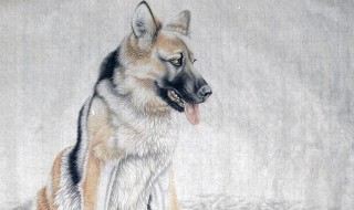 94年属什么的 94年属什么的生肖是什么命