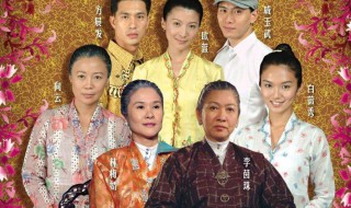电视剧小娘惹简介 电视剧小娘惹的简介