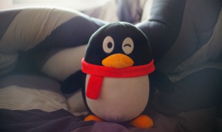 如何退订超级qq 联通如何退订超级qq