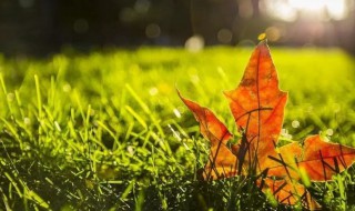 秋分后天气还热吗 秋分后天气还热吗