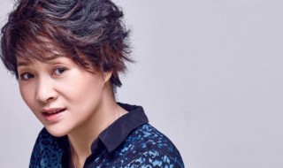渴望燕子的扮演者资料 渴望小燕子的扮演者资料