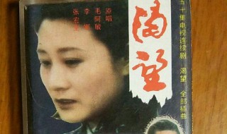 渴望电视剧主题曲（渴望电视剧主题曲歌词）