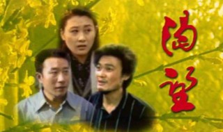 渴望电视剧一共多少集（渴望电视剧一共有多少集）