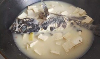 安康鱼炖豆腐 安康鱼炖豆腐炖多长时间