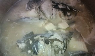 鲢鱼炖豆腐 鲢鱼炖豆腐汤的做法