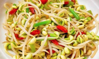 黄豆芽怎么炒好吃（黄豆芽怎么炒好吃秘籍）